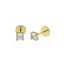 Pendientes de plata con baño de oro con circonitas